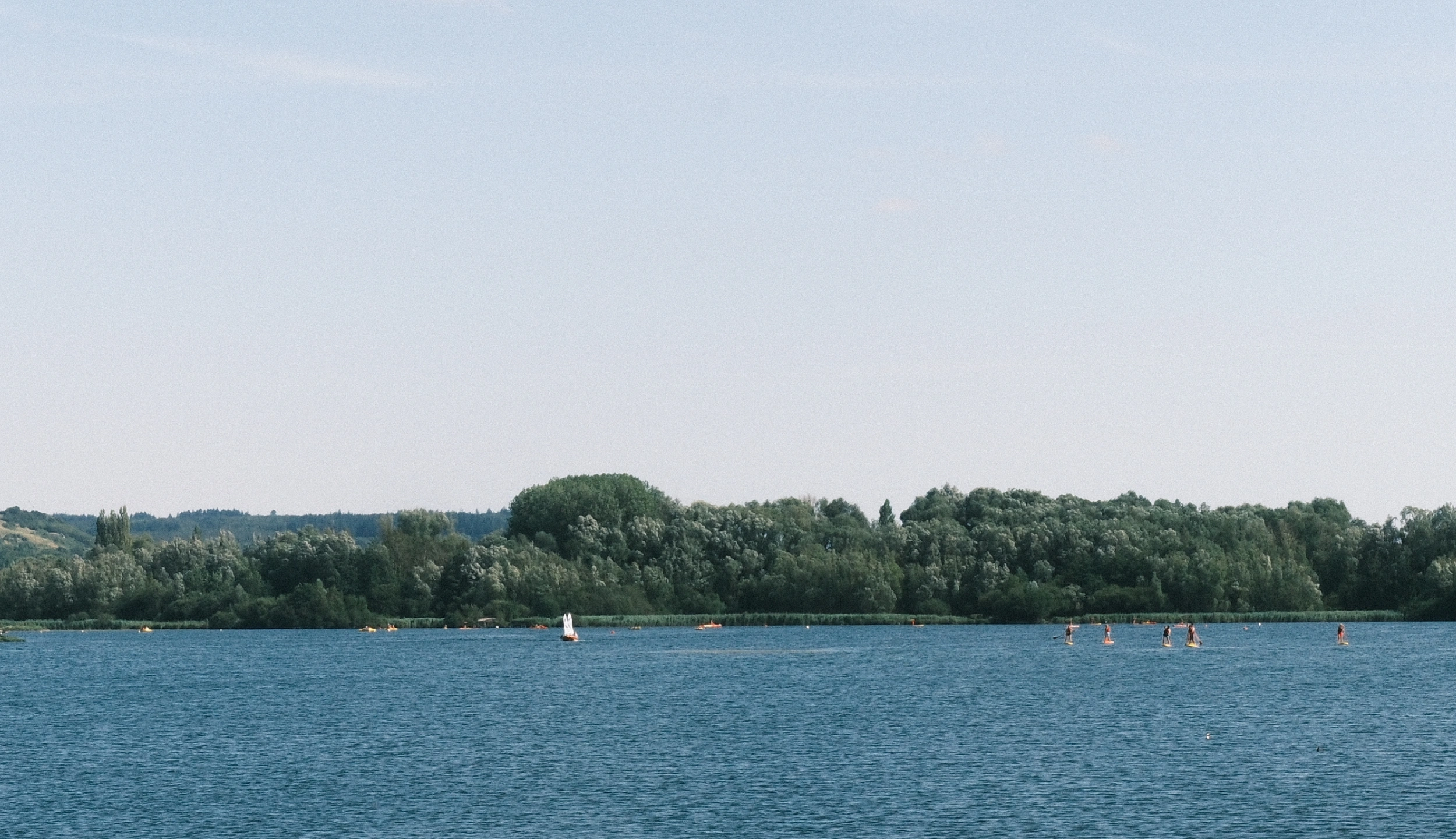 Lac avec pratiquants de paddle au loin et rive boisée