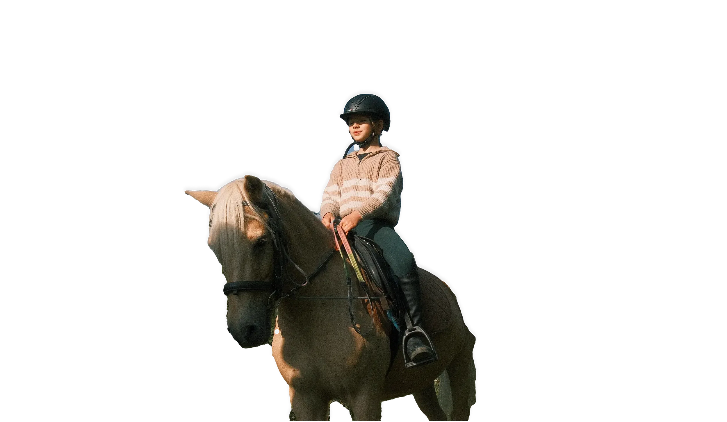 Child riding a palomino pony