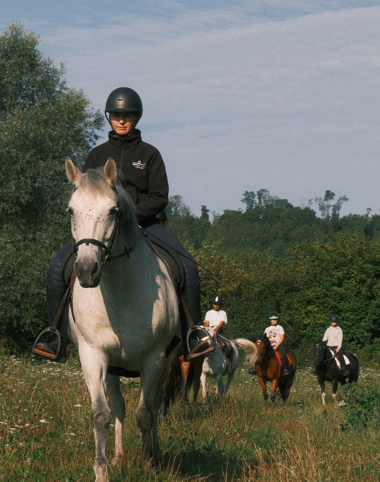 Rider on a white horse leading three children on horseback through a meadow
