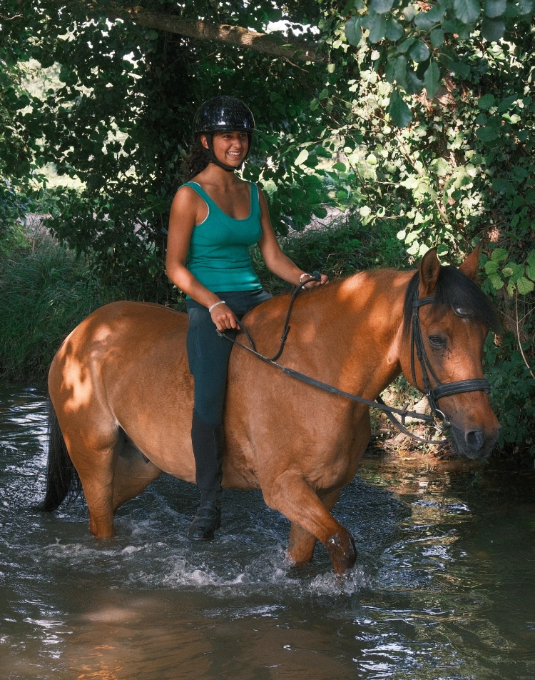 Smiling rider crossing a river on a bay horse under the trees