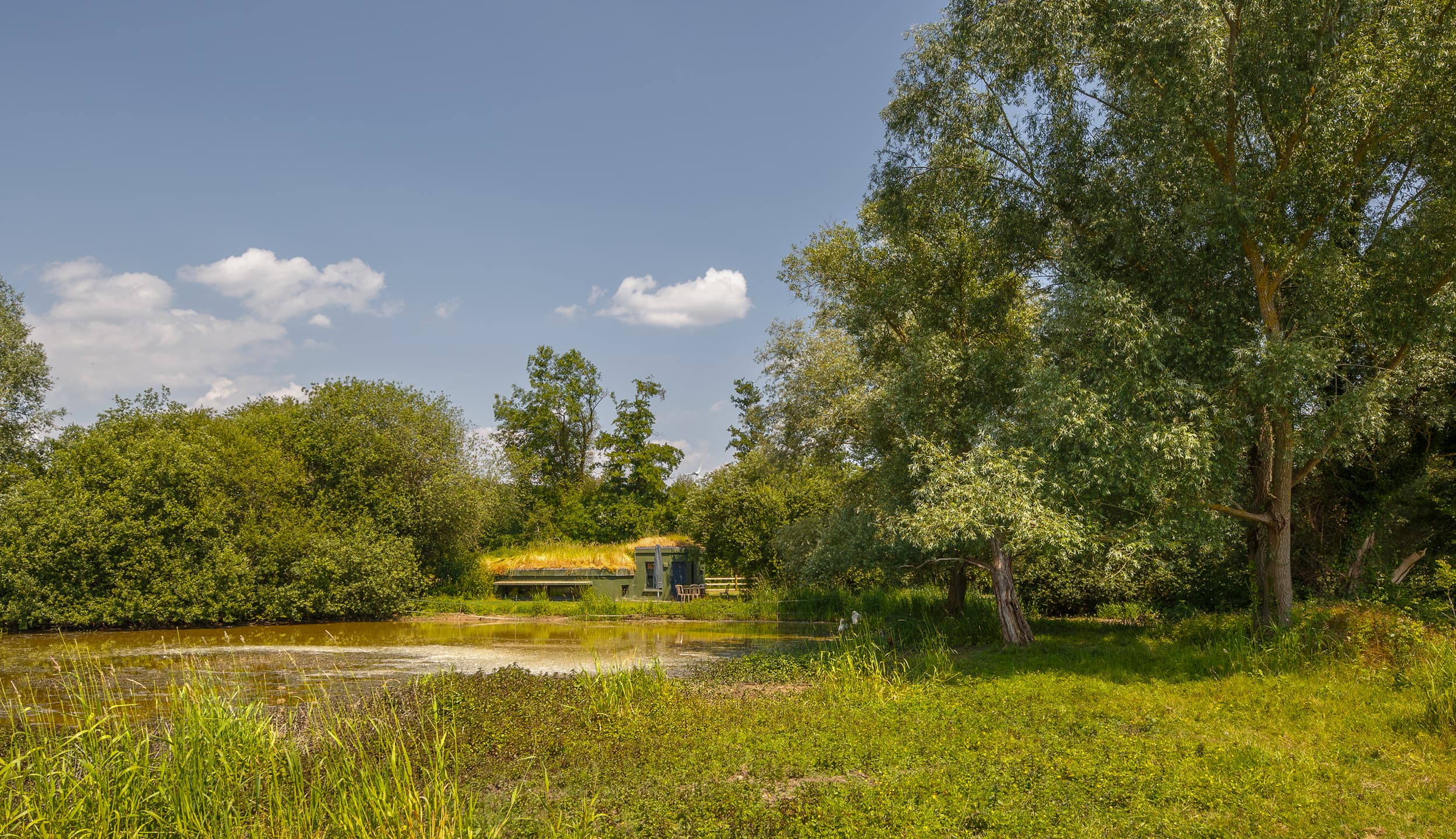Cabane au toit végétalisé au bord d'un étang, entourée d'arbres et de hautes herbes